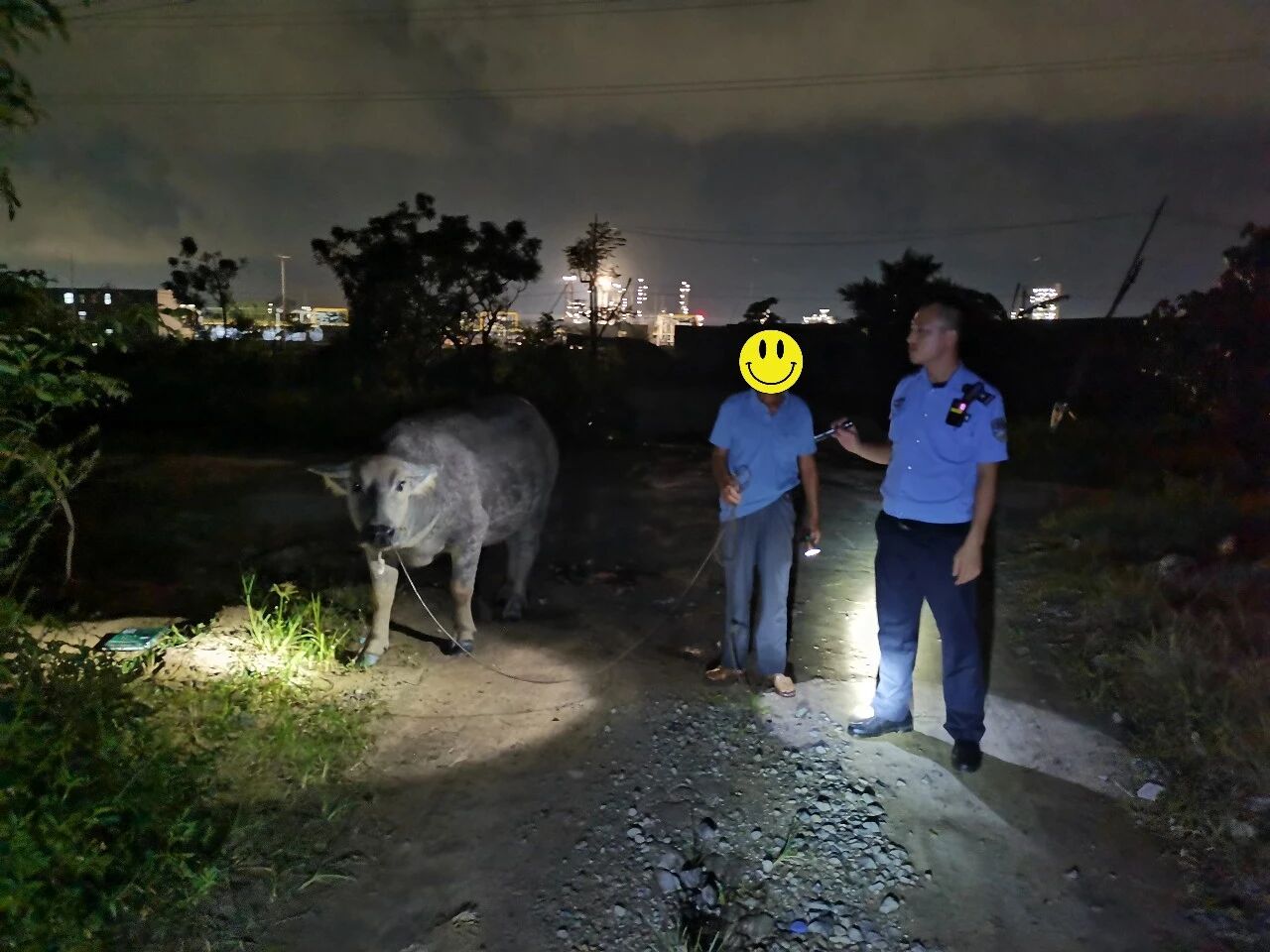 民警深夜寻牛暖民心